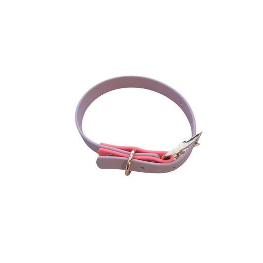 Bark Accent Collar - Violet w/Pastel Pink Accent - Medium