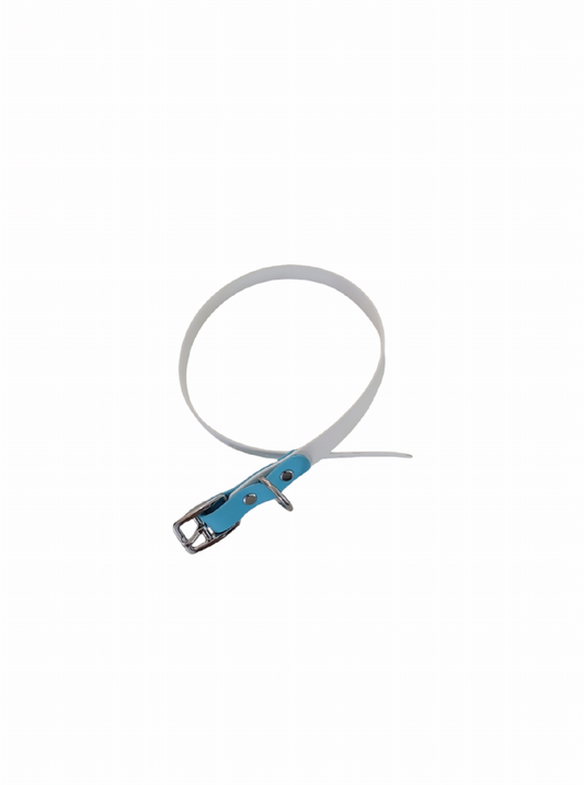 Bark Accent Collar - White w/Baby Blue Accent - Medium