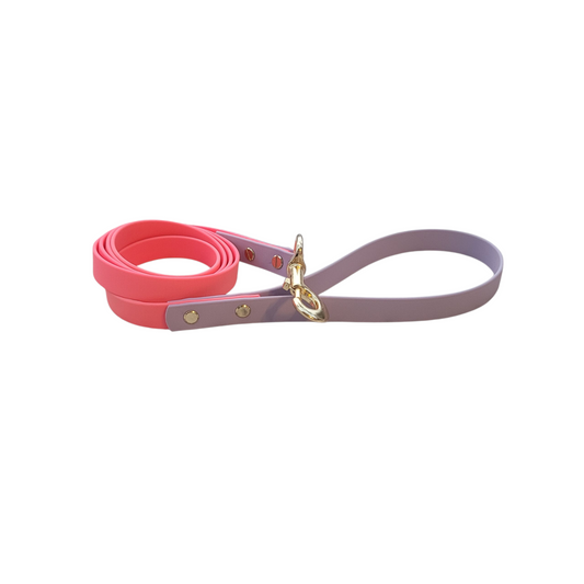 Bark Accent Leash - Pastel Pink w/Violet Accent - Standard