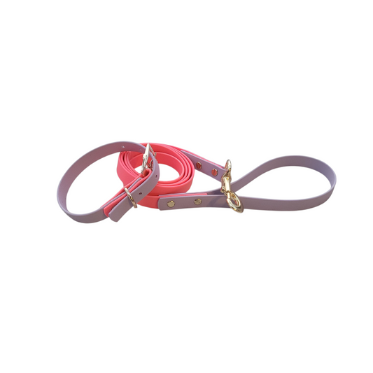 Bark Accent Collar & Leash Combo - Pastel Pink & Violet