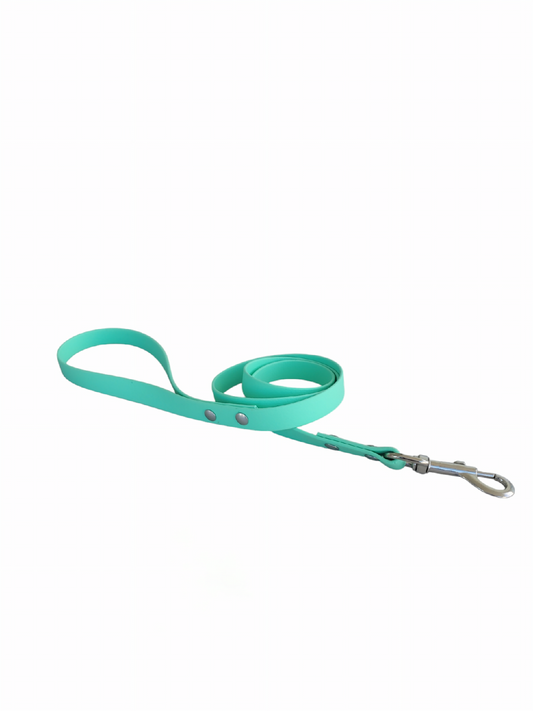 Bark Classic Leash - Caribbean Green - Standard