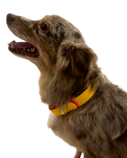 Bark Accent Collar - Yellow w/Pastel Pink Accent and Gold Hearts - 1" Medium